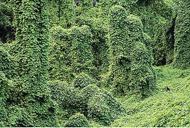  “SEGA六月精选促销”活动火热进行中！《人中之龙８》等作品加入