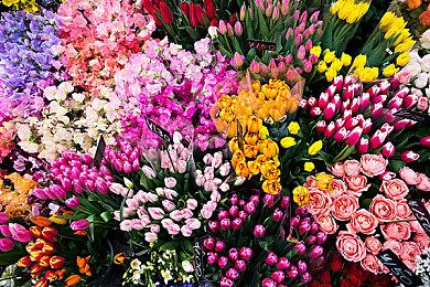 《双人成行》开发商或将于科隆游戏展公布新作